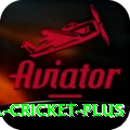 bbl cricket Deluxe v4.0.5