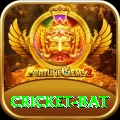 cricket bat - Real Money Pro