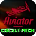 cricket pitch Mega Gaming App