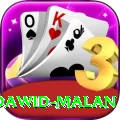 dawid malan VIP v4.8.7