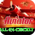 fastest ball in cricket - Ultimate v2.9.5