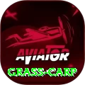 grass carp Live Super