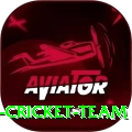 hong kong cricket team Prime APK v3.0.1