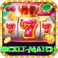 international cricket match - King v1.9.0