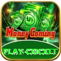 play cricket - Live Elite