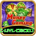 smartcric live cricket - Real Money VIP