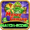 today cricket match score Game VIP v4.9.8