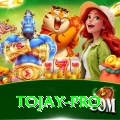 tojay VIP Casino App