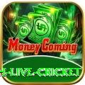 watch live cricket Pro Jackpot