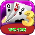 wc t20 Slot Machine Plus