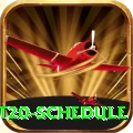 world cup t20 schedule Elite PK v3.8.2